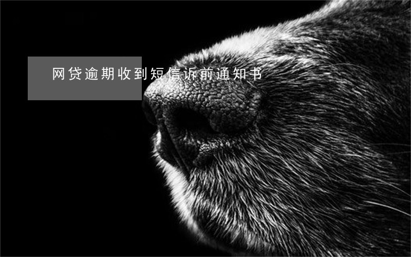网贷逾期收到短信诉前通知书 网贷逾期收到短信诉前通知书