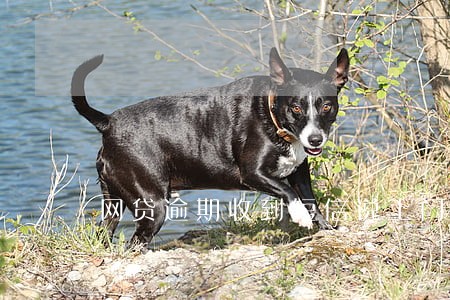 网贷逾期收到短信说上门要账的