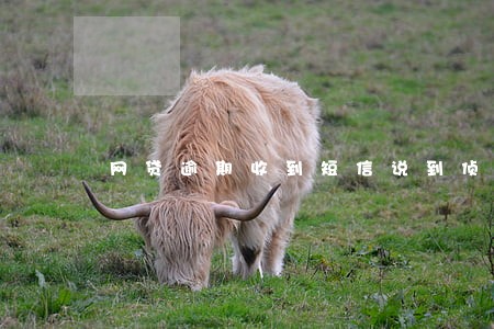 网贷逾期收到短信说到侦查大队 网贷逾期收到短信说到侦查大队
