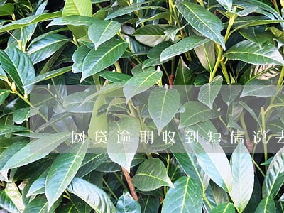 网贷逾期收到短信说去户籍地 网贷逾期收到短信说去户籍地