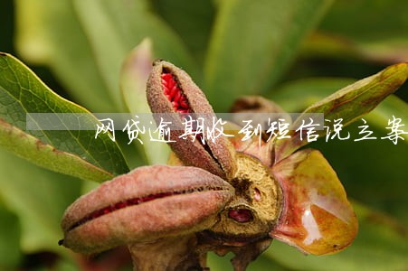 网贷逾期收到短信说立案怎么办 网贷逾期收到短信说立案怎么办