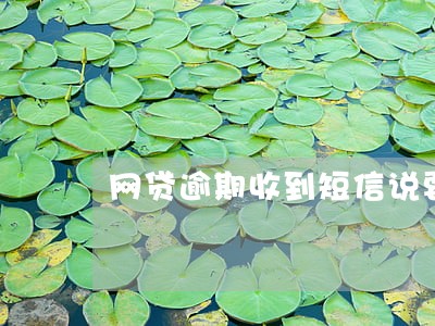网贷逾期收到短信说要上门取证 网贷逾期收到短信说要上门取证