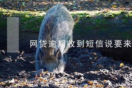 网贷逾期收到短信说要来工作单位 网贷逾期收到短信说要来工作单位