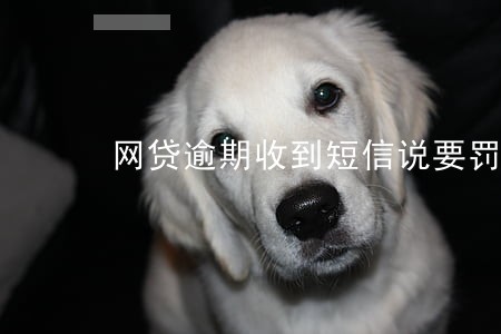 网贷逾期收到短信说要罚款 网贷逾期收到短信说要罚款