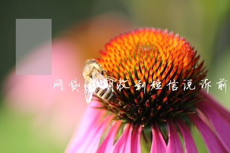 网贷逾期收到短信说诉前通告 网贷逾期收到短信说诉前通告