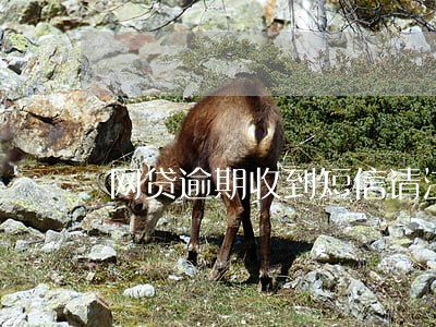 网贷逾期收到短信请注意查收传票 网贷逾期收到短信请注意查收传票