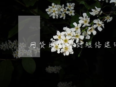 网贷逾期收到短信退订两个字 网贷逾期收到短信退订两个字