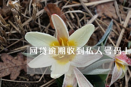 网贷逾期收到私人号码上门催收 网贷逾期收到私人号码上门催收