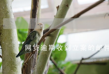 网贷逾期收到立案的邮件 网贷逾期收到立案的邮件