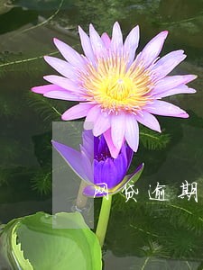 网贷逾期收到立案短信 网贷逾期收到立案短信