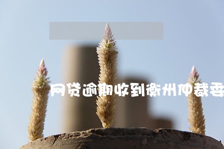 网贷逾期收到衡州仲裁委员会 网贷逾期收到衡州仲裁委员会