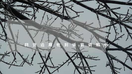 网贷逾期收到诉前调解书 网贷逾期收到诉前调解书