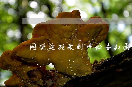 网贷逾期收到诉讼告知函是什么 网贷逾期收到诉讼告知函是什么