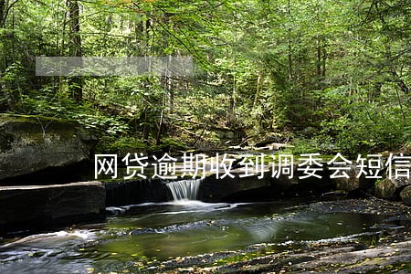 网贷逾期收到调委会短信 网贷逾期收到调委会短信
