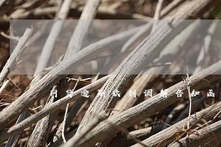 网贷逾期收到调解告知函信息