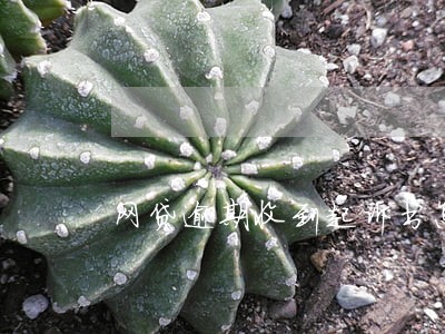 网贷逾期收到起诉书怎么办 网贷逾期收到起诉书怎么办