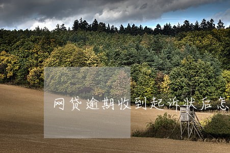 网贷逾期收到起诉状后怎么办