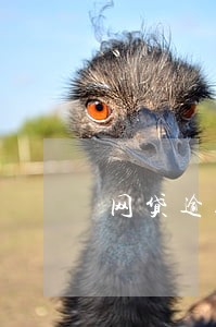网贷逾期收到通知书 网贷逾期收到通知书