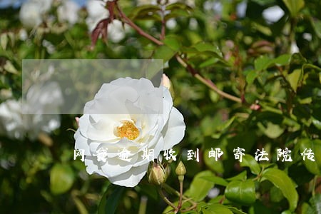 网贷逾期收到邮寄法院传票 网贷逾期收到邮寄法院传票