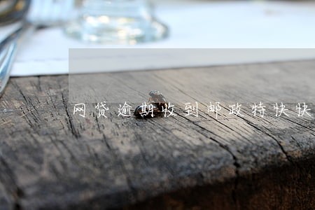 网贷逾期收到邮政特快快递 网贷逾期收到邮政特快快递