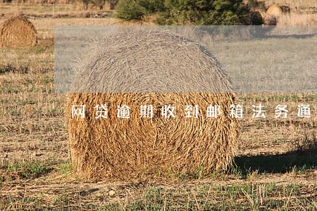 网贷逾期收到邮箱法务通知 网贷逾期收到邮箱法务通知