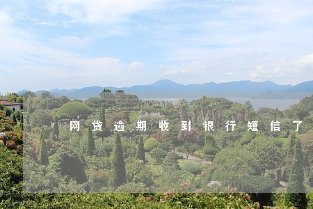 网贷逾期收到银行短信了怎么办 网贷逾期收到银行短信了怎么办