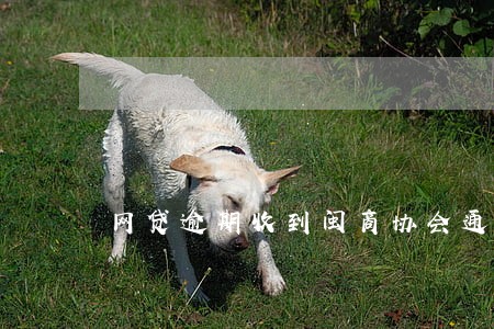 网贷逾期收到闽商协会通知书 网贷逾期收到闽商协会通知书