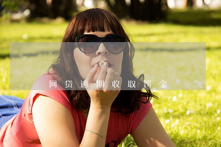 网贷逾期收取罚金 网贷逾期收取罚金