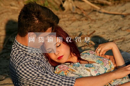 网贷逾期收罚息 网贷逾期收罚息