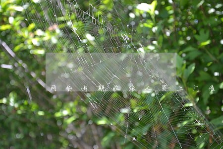 网贷逾期收账人员上门催收 网贷逾期收账人员上门催收