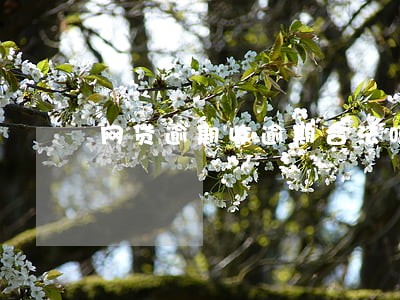 网贷逾期收逾期合法吗