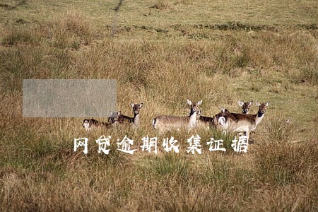 网贷逾期收集证据 网贷逾期收集证据