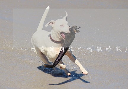 网贷逾期放心借能给额度吗 网贷逾期放心借能给额度吗
