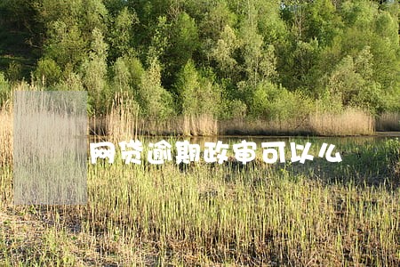 网贷逾期政审可以么 网贷逾期政审可以么