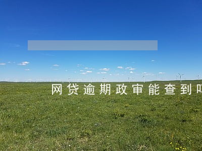 网贷逾期政审能查到吗 网贷逾期政审能查到吗