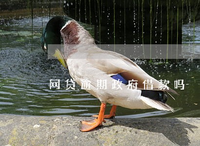 网贷逾期政府借款吗 网贷逾期政府借款吗