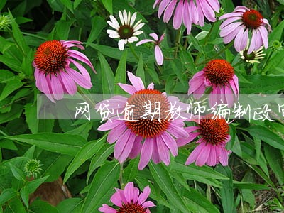 网贷逾期教师编制政审内容 网贷逾期教师编制政审内容