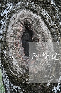 网贷逾期教育方式 网贷逾期教育方式