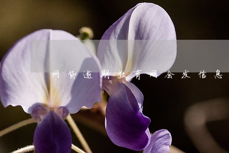 网贷逾期教育网会发信息吗