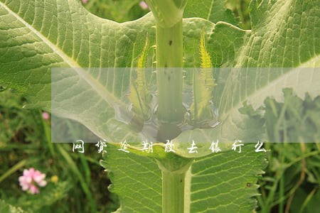 网贷逾期敢去银行么 网贷逾期敢去银行么