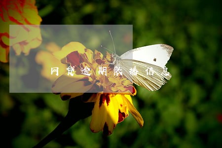 网贷逾期散播信息 网贷逾期散播信息