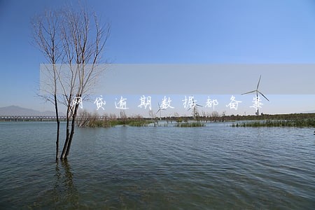 网贷逾期数据都备案 网贷逾期数据都备案