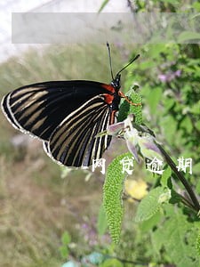 网贷逾期文案怎么写 网贷逾期文案怎么写