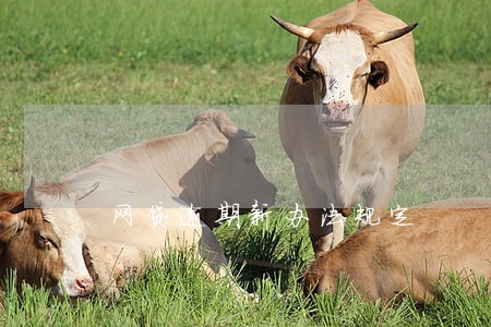 网贷逾期新办法规定 网贷逾期新办法规定