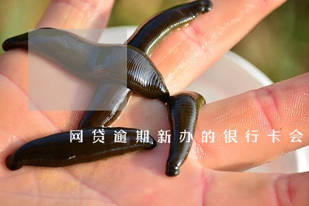 网贷逾期新办的银行卡会被扣钱吗 网贷逾期新办的银行卡会被扣钱吗