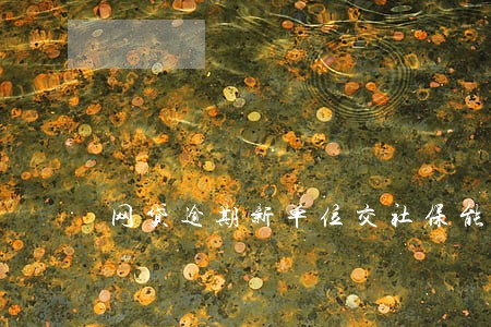 网贷逾期新单位交社保能查到吗 网贷逾期新单位交社保能查到吗