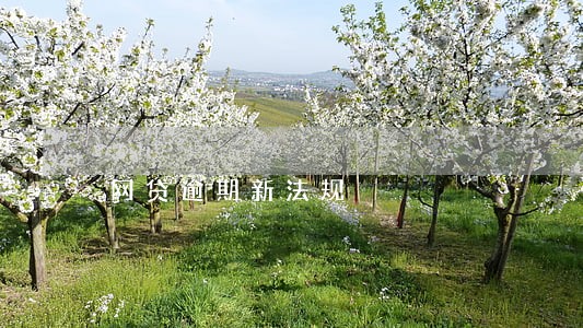 网贷逾期新法规 网贷逾期新法规