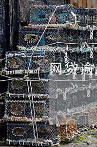 网贷逾期新规2021 网贷逾期新规2021