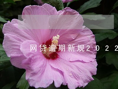 网贷逾期新规2022 网贷逾期新规2022
