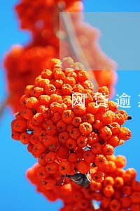 网贷逾期新闻 网贷逾期新闻